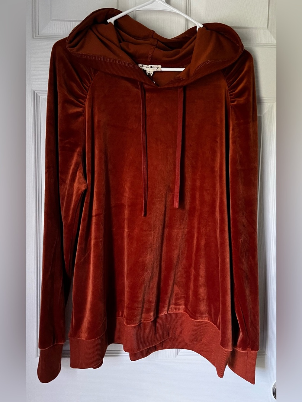 Jane and Delancey Rust Velour Crewneck Hoodie